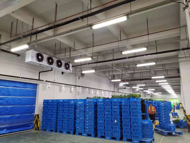 2400平廠房改建成生鮮冷藏庫應(yīng)該如何來規(guī)劃設(shè)計(jì)？