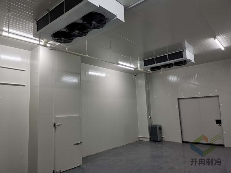 藥品冷凍庫建造安裝設計的特點及優(yōu)勢是哪些？