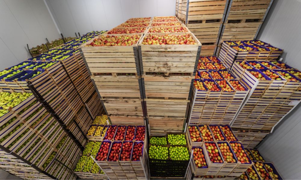 果蔬冷庫(kù) 果蔬冷庫(kù)