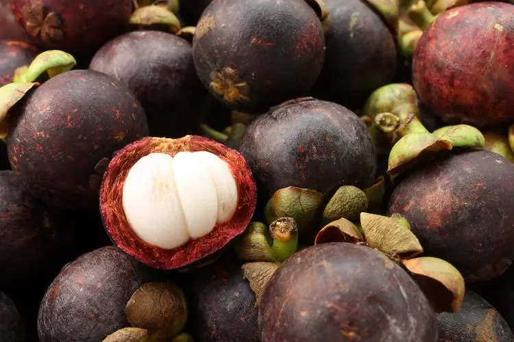 保鮮冷庫的正確貯藏方式 山竹如何長期保存？