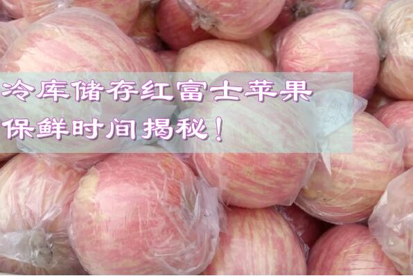 冷庫(kù)儲(chǔ)存紅富士蘋(píng)果，保鮮時(shí)間揭秘!