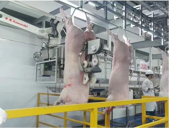 10萬(wàn)頭生豬屠宰場(chǎng)冷庫(kù)建造價(jià)格及配置清單