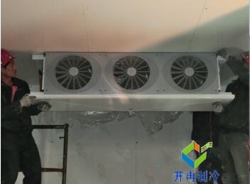 東莞100平水果保鮮冷庫(kù)造價(jià)大概要多少錢(qián)？