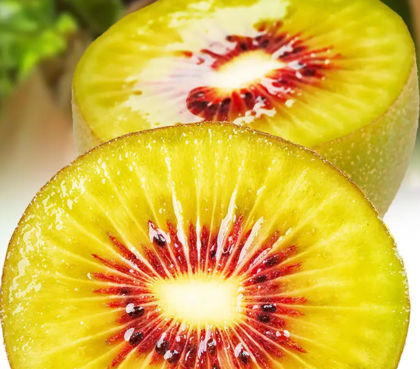 1000平獼猴桃冷藏保鮮庫(kù)建造注意事項(xiàng)-開冉制冷