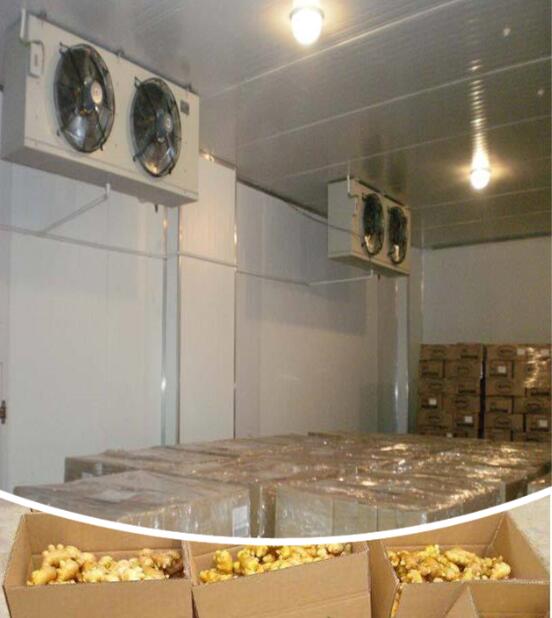 保鮮庫(kù)/香蕉保鮮冷庫(kù)設(shè)計(jì)規(guī)范_上海開(kāi)冉制冷