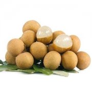 安裝一個(gè)桂圓（龍眼）保鮮冷庫(kù)，投資成本大概多少