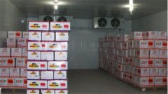 我想建個水果保鮮冷庫，需要考慮哪些方面問題