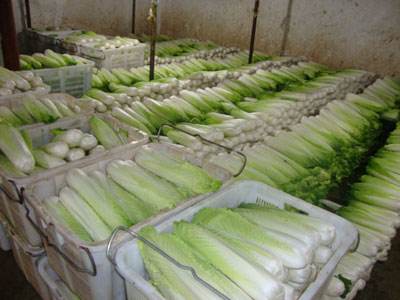 我想建一個蔬菜水果保鮮庫，冷庫溫度是多少