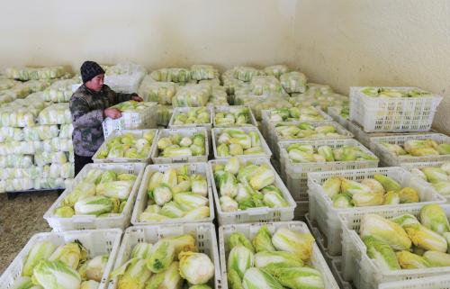 1000噸娃娃菜保鮮庫