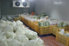 現(xiàn)在建一個(gè)果蔬冷庫的價(jià)格大概在多少