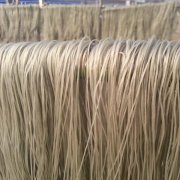 建造一個500噸粉絲冷庫造價多少？