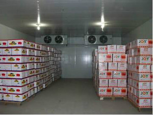 果蔬保鮮庫(kù) 果蔬保鮮庫(kù)