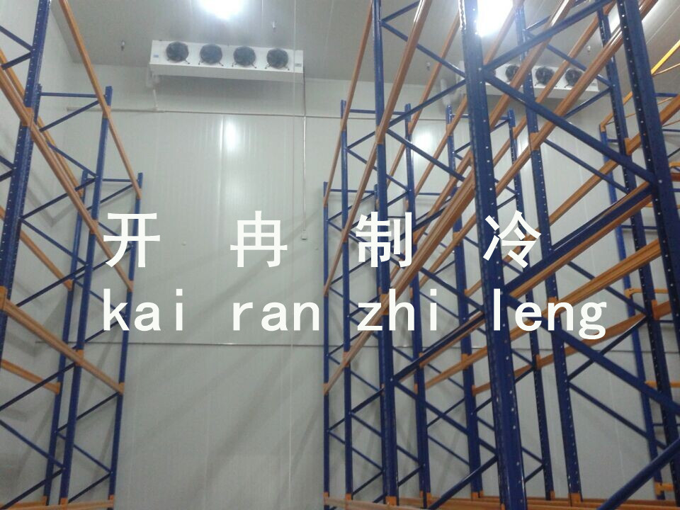 30000立方冷鏈物流中心冷庫 30000立方冷鏈物流中心冷庫