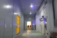 建一個10000立方米大型冷庫需要花多少錢？