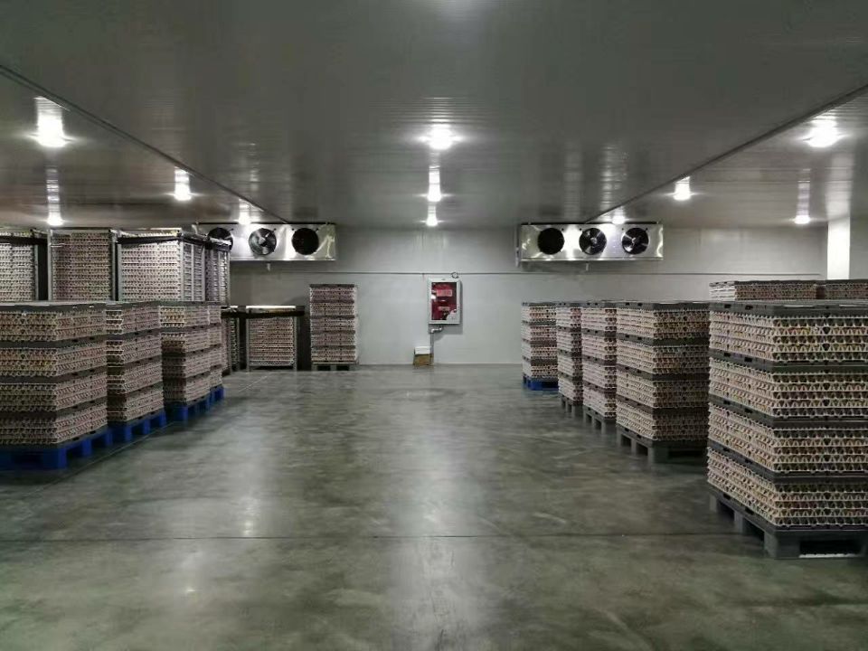 1000立方食品冷藏庫(kù)