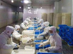 安裝一個3000立方低溫冷凍庫需要投資多少錢？