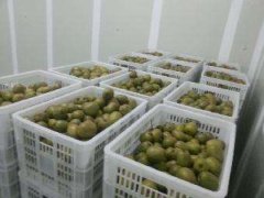 4000立方氣調(diào)冷庫(kù)安裝要多少錢(qián)？