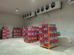 建造一個4000平方蘋果冷庫大概需要多少錢？