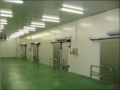 2500噸牛肉冷凍庫，冷庫價格及能耗