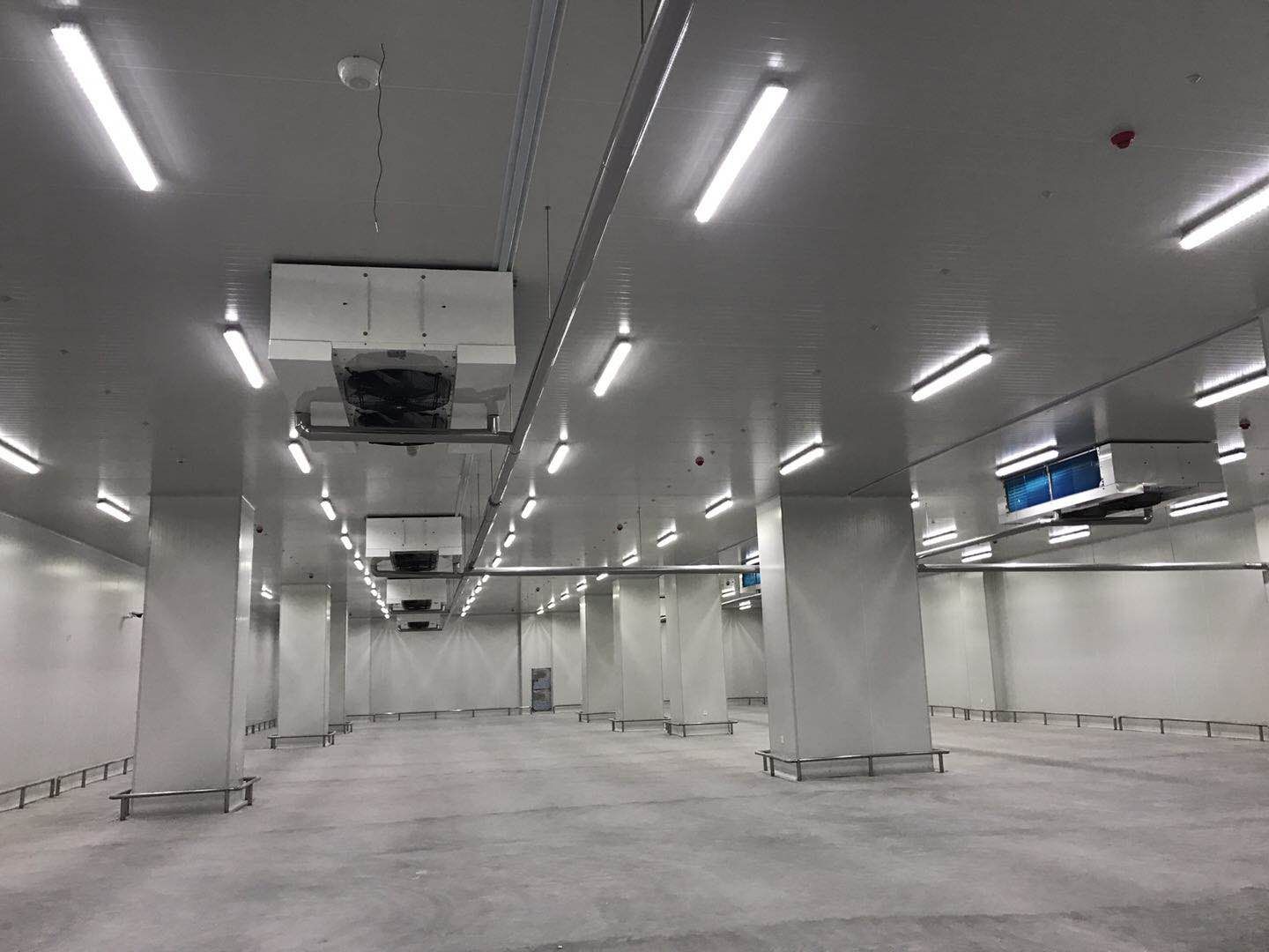 500平米食品冷庫(kù)建造，-23℃冷凍庫(kù)造價(jià)多少錢