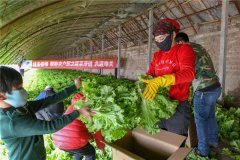 一場疫情，突出了冷庫的重要性！