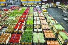 1000平米鮮花冷庫怎么安裝？造價(jià)費(fèi)用是多少