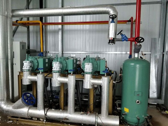 1000平方米速食冷凍冷庫(kù)