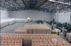 新建一個存放丑橘保鮮冷庫，大概需要多少造價？