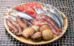 -25℃海鮮冷庫建造安裝，冷庫報價