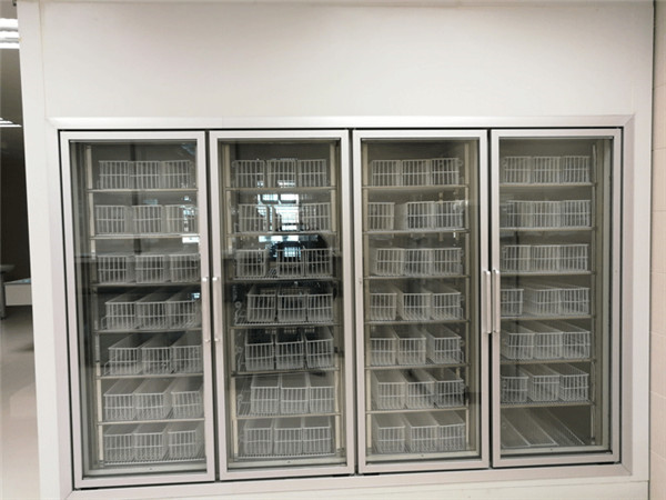 三甲醫(yī)藥冷庫(后補(bǔ)式冷庫) 三甲醫(yī)藥冷庫(后補(bǔ)式冷庫)