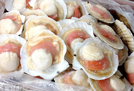 小型冷凍庫(kù)建設(shè)維護(hù)及安全問題