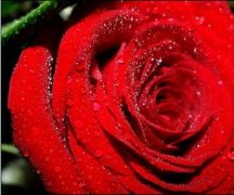 果蔬、鮮花氣調(diào)冷庫設計保鮮效果更好