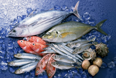 建一個(gè)速凍冷庫(kù)多少錢/速凍冷庫(kù)價(jià)格