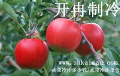 水果冷庫報價、一個水果冷庫多少錢