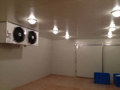 220V能建冷庫(kù)多大？（低溫冷庫(kù)）