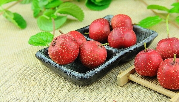 山楂冷藏庫設(shè)計(jì)