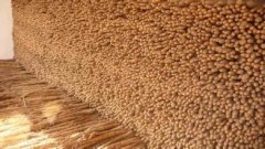 建一個山藥保鮮庫貯藏山藥有哪些好處？