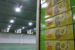 哪些是1000噸小型冷庫建造價格因素？