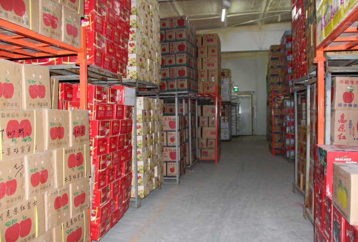 800平的蘋果冷庫庫內(nèi)存貨運(yùn)作圖片