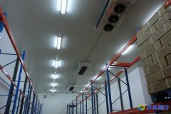 1300平冷庫多少錢，8000立方米冷庫造價