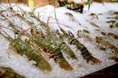 海鮮保存溫度？海鮮冷凍庫價格多少錢