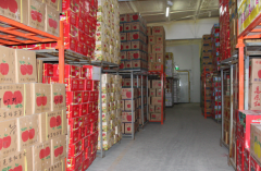 生鮮水果冷庫設(shè)計建造的施工