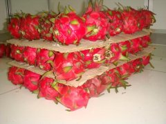 水果店建個(gè)水果冷藏庫(kù)安裝及使用