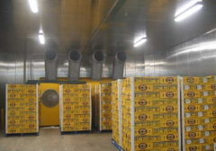 300噸葡萄保鮮庫(kù)造價(jià)，葡萄冷庫(kù)保鮮期及溫度多少？