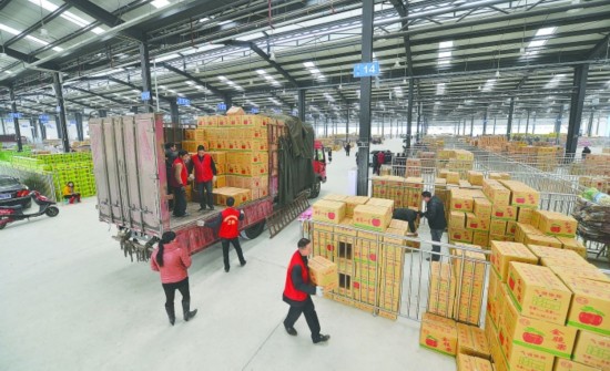 火龍果保鮮庫造價，溫度可以存儲多久？