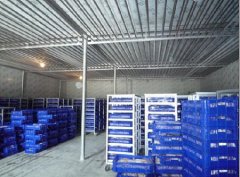 200噸葡萄保鮮庫建造，1000m3葡萄放冷庫可以放多久