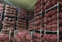 洋蔥冷藏庫(kù)安裝設(shè)計(jì)及造價(jià)，洋蔥保鮮期