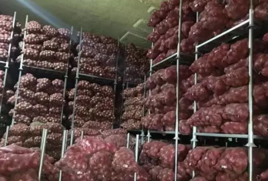 洋蔥在冷庫(kù)存儲(chǔ)多久，洋蔥冷藏庫(kù)安裝設(shè)計(jì)及造價(jià)