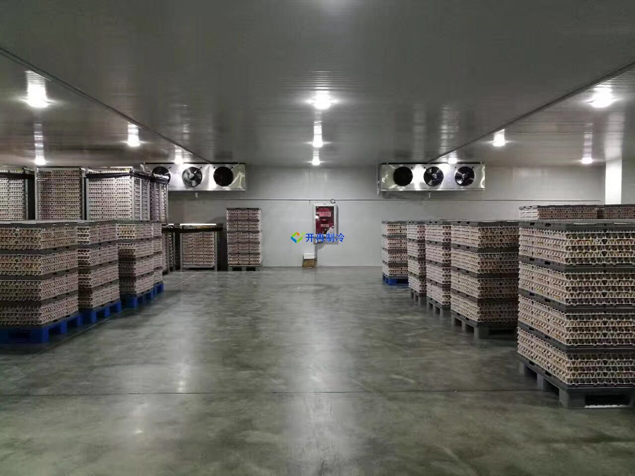 葡萄保鮮庫建造及設計造價，葡萄冷庫儲存方法