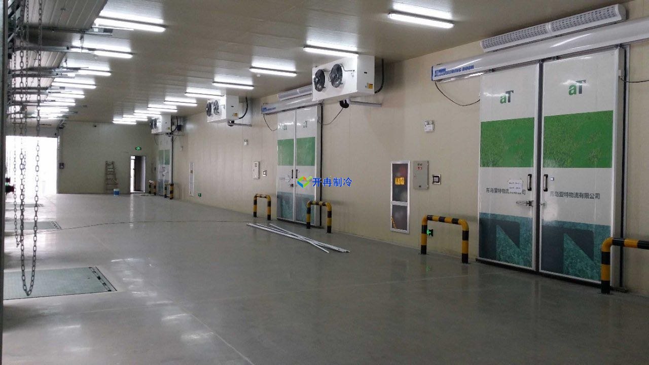 萬平冷凍庫建設(shè)規(guī)劃，冷庫建造建議